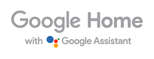 Works with Google Home with the Google Assistant