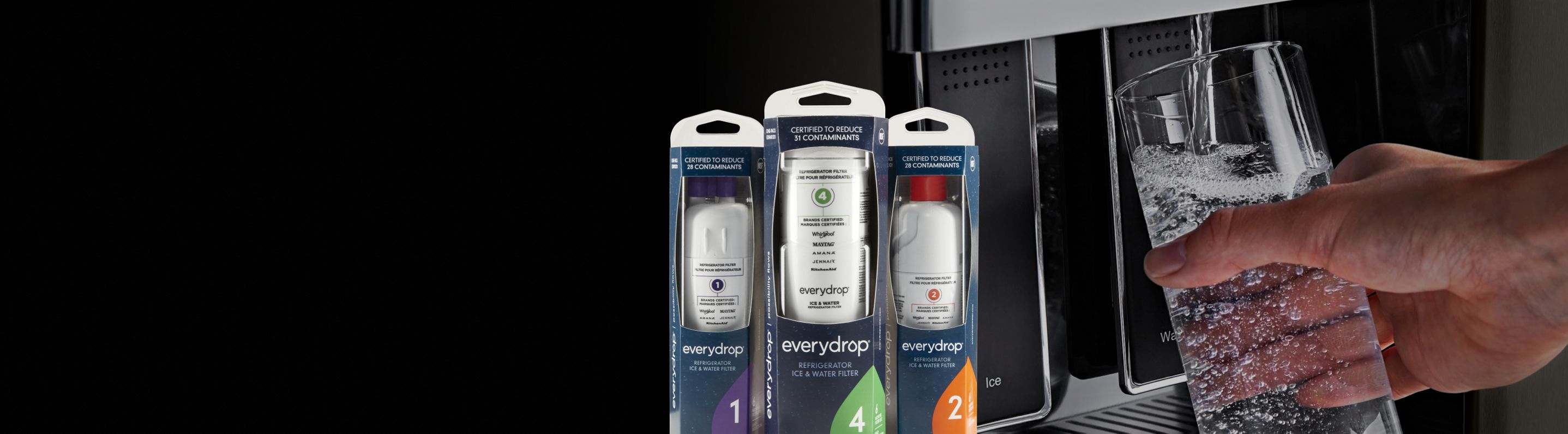 Everydrop brand water filters next to an image of a Maytag brand refrigerator water dispenser.