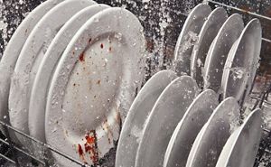 White dishes being sprayed with water in a dishwasher
