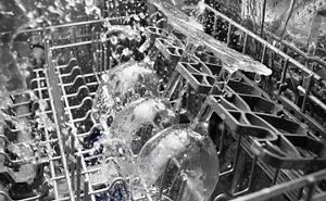 Wine glasses being washed in a dishwasher