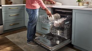 portable dishwasher without water supply