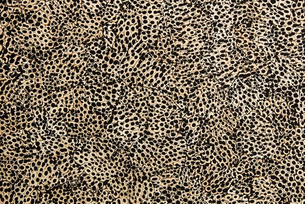 24" Elements Collection Eggshell Snakeskin Black Custom Wine Column Panel