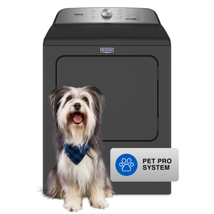 4 Hacks for Removing Pet Hair From Your Laundry | Maytag