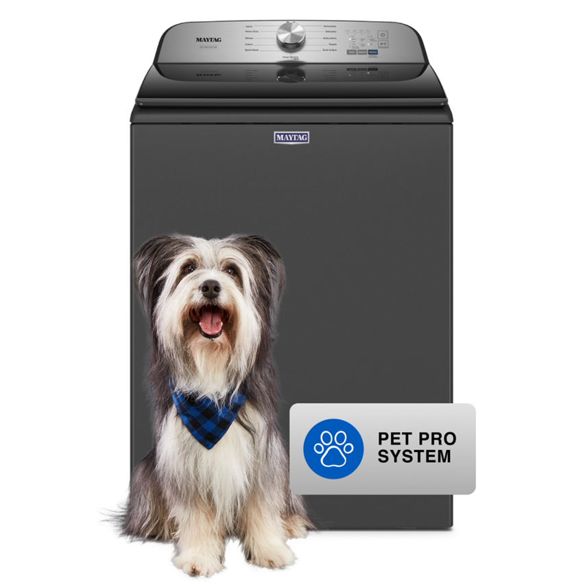 Laundry FAQ: How to Get Pet Hair Off Blankets in the Wash - Dave Smith  Appliance Services