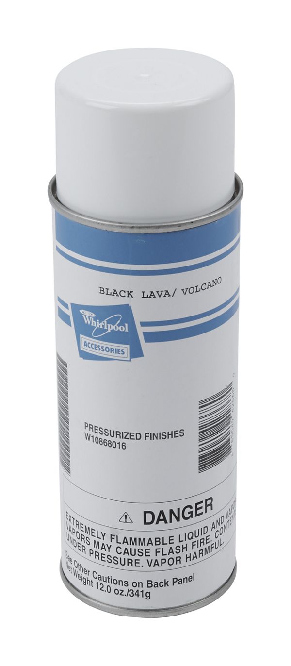 Black Lava Touch-Up Spray Paint